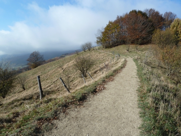 IL SENTIERO VERSO IL MONTE ANTOLA.jpg